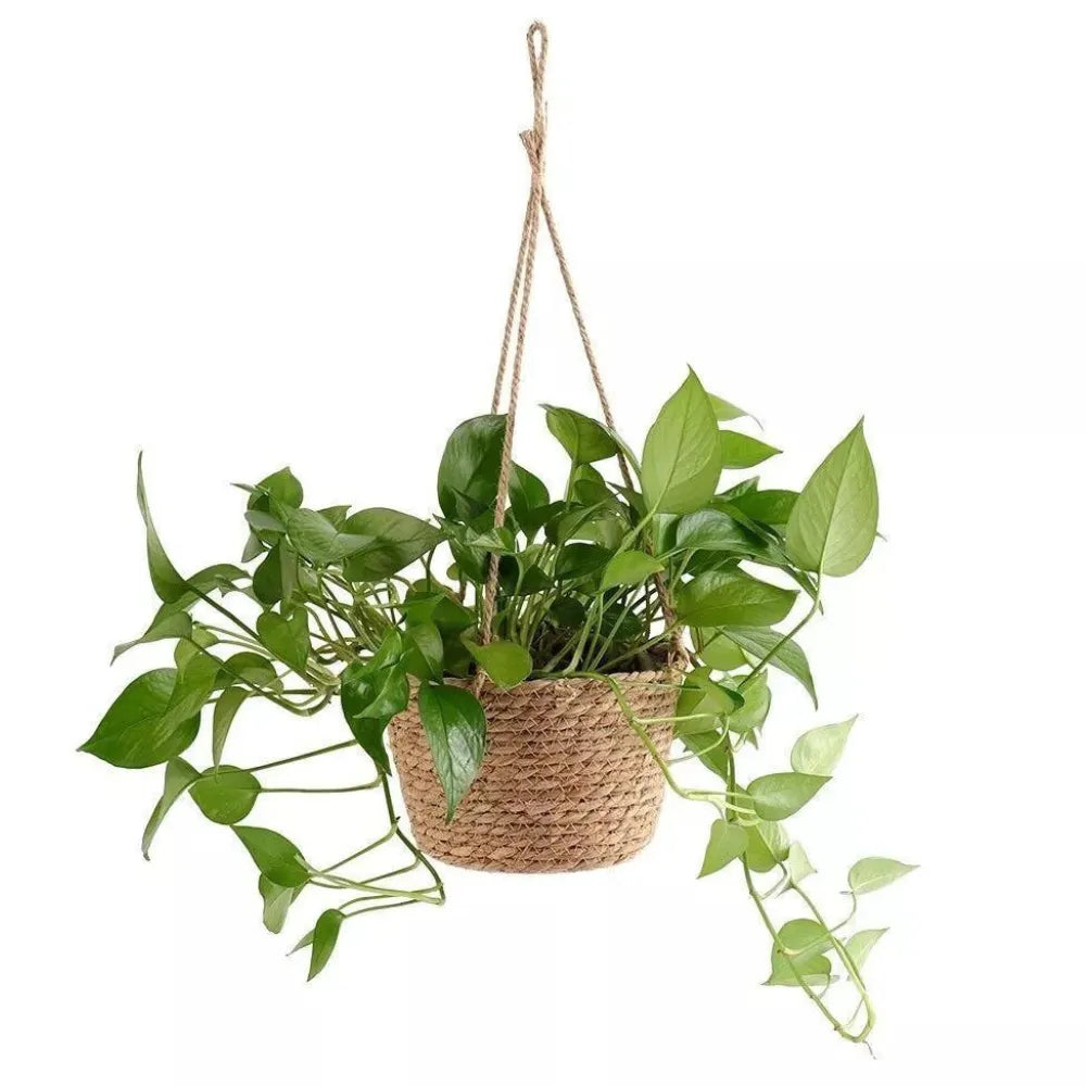 Cesta-suspensa-de-juta-vaso-armazenamento-multiuso-Loja-do-Jardinista