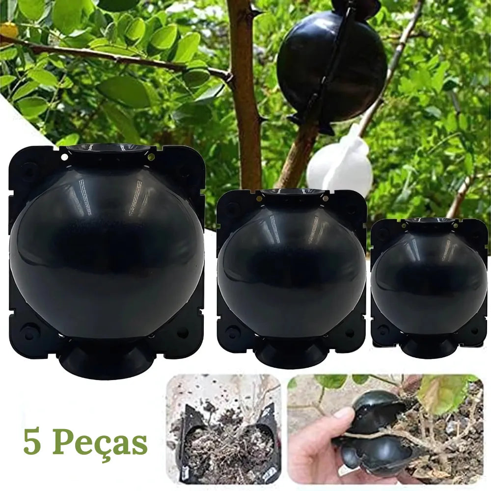 Kit-de-Enraizamento-para-Alporquia-Propagacao-de-Plantas-Rapida-e-Facil-Loja-do-Jardinista