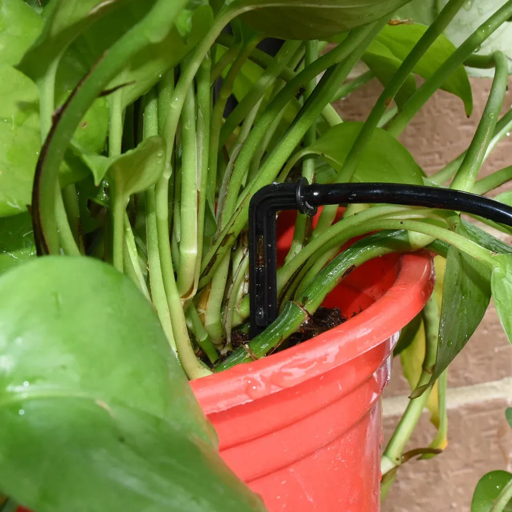 Kit-de-Irrigacao-por-Gotejamento-Automatico-para-Jardins-e-Estufas-Loja-do-Jardinista