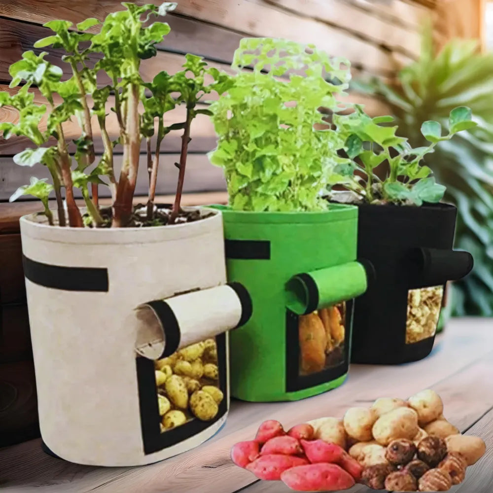 Saco-de-Plantio-em-Feltro-para-Tuberculos-e-Hortalicas-Cultivo-Eficiente-Loja-do-Jardinista