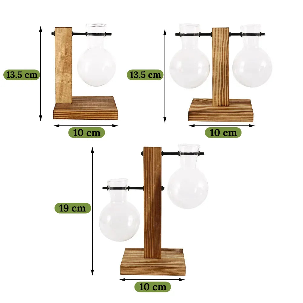 Terrario-de-Plantas-Vintage-com-Suporte-de-Madeira-para-Decoracao-Interna-Loja-do-Jardinista