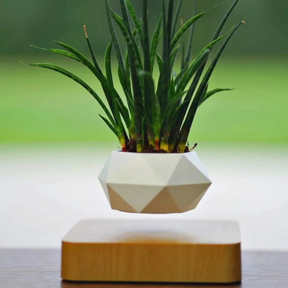 Vaso-Flutuante-Magnetico-Levitando-e-Girando-360-Loja-do-Jardinista