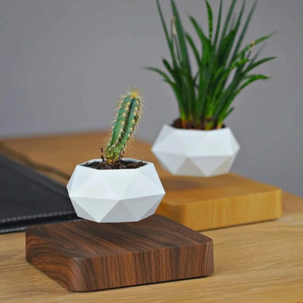 Vaso-Flutuante-Magnetico-Levitando-e-Girando-360-Loja-do-Jardinista