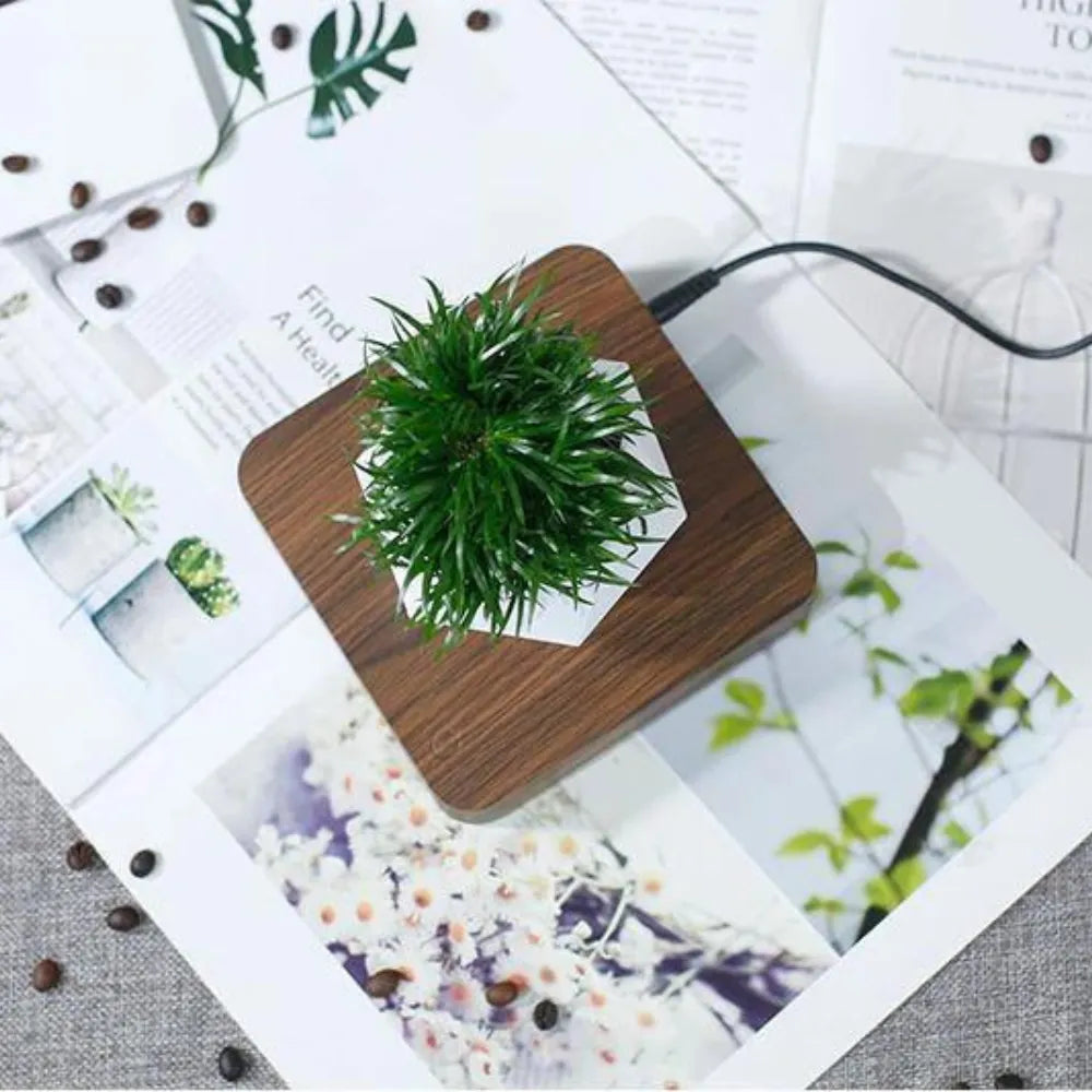 Vaso-Flutuante-Magnetico-Levitando-e-Girando-360-Loja-do-Jardinista