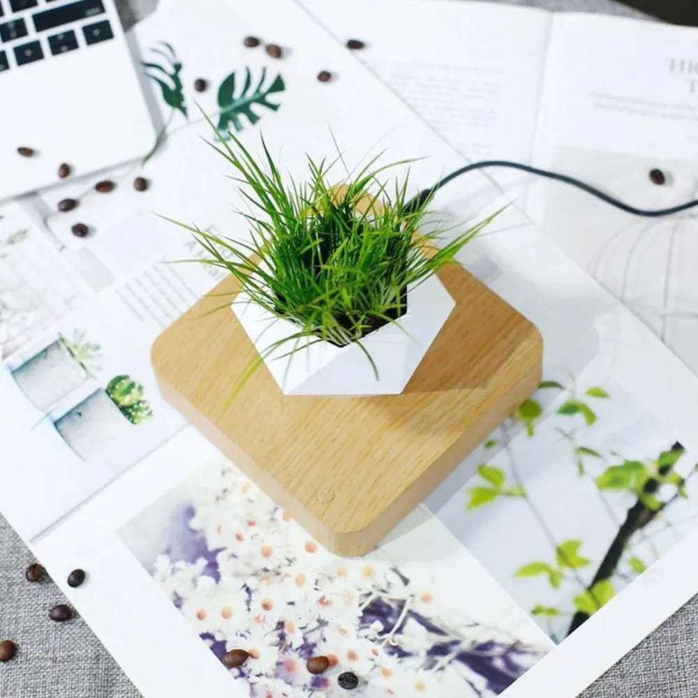 Vaso-Flutuante-Magnetico-Levitando-e-Girando-360-Loja-do-Jardinista