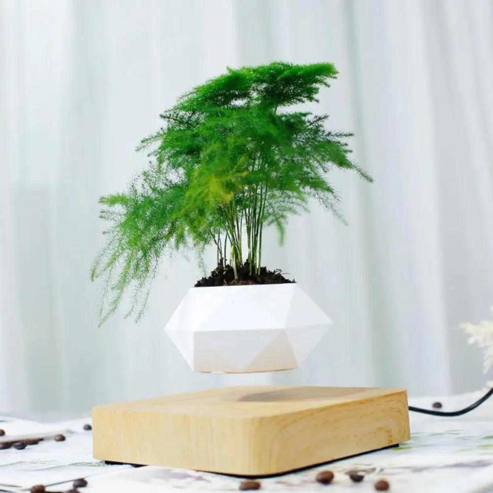 Vaso-Flutuante-Magnetico-Levitando-e-Girando-360-Loja-do-Jardinista