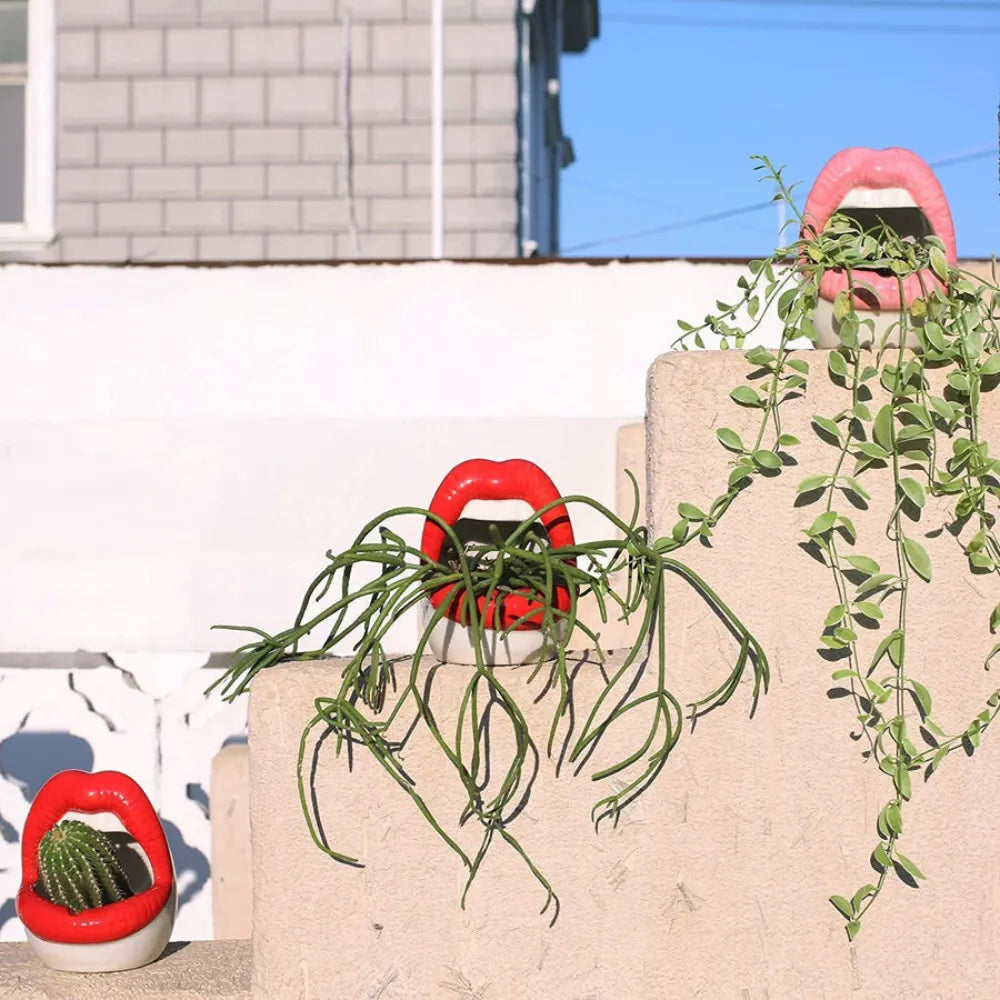 Vaso-de-Ceramica-em-Formato-de-Labios-Loja-do-Jardinista