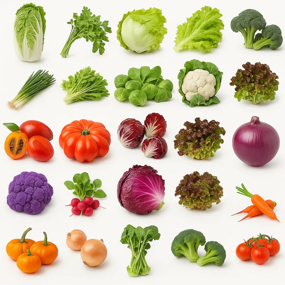 Kit-Horta-Completa-47-Variedades-Loja-do-Jardinista