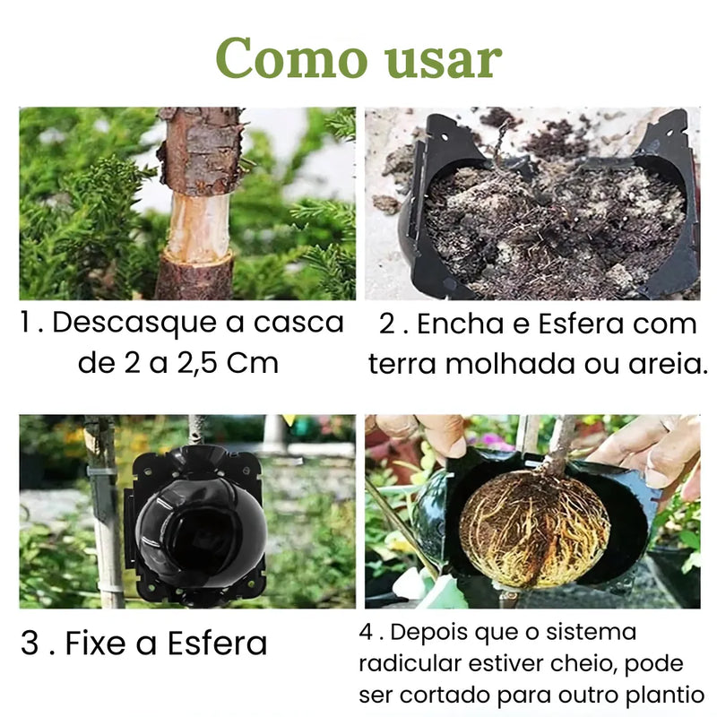 Kit-de-Enraizamento-para-Alporquia-Propagacao-de-Plantas-Rapida-e-Facil-Loja-do-Jardinista