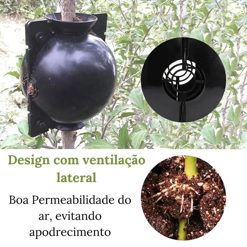 Kit-de-Enraizamento-para-Alporquia-Propagacao-de-Plantas-Rapida-e-Facil-Loja-do-Jardinista