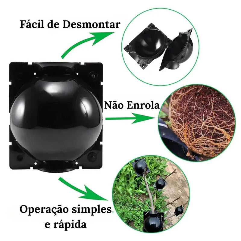 Kit-de-Enraizamento-para-Alporquia-Propagacao-de-Plantas-Rapida-e-Facil-Loja-do-Jardinista