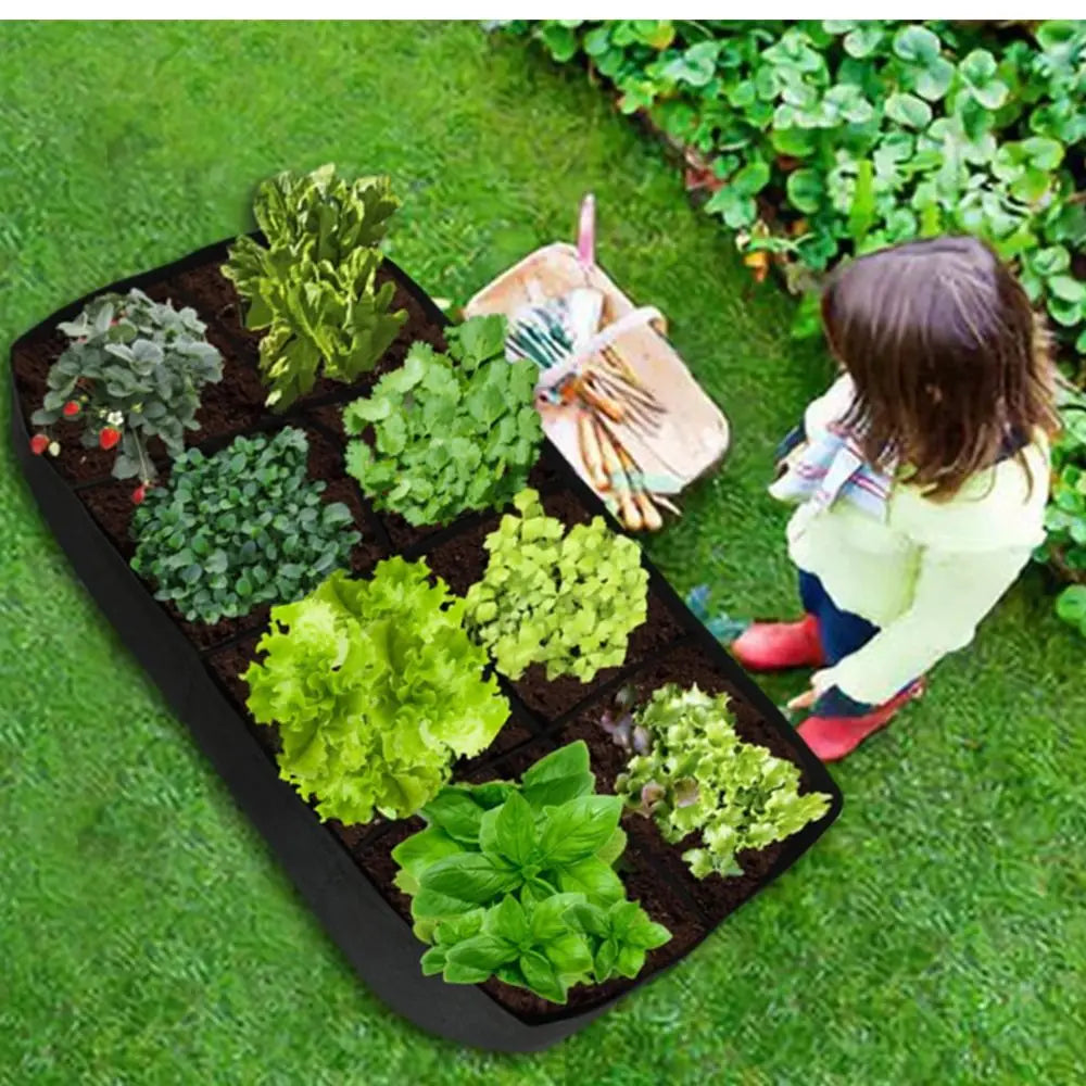 Saco-plantio-retangular-divisoes-loja-do-jardinista