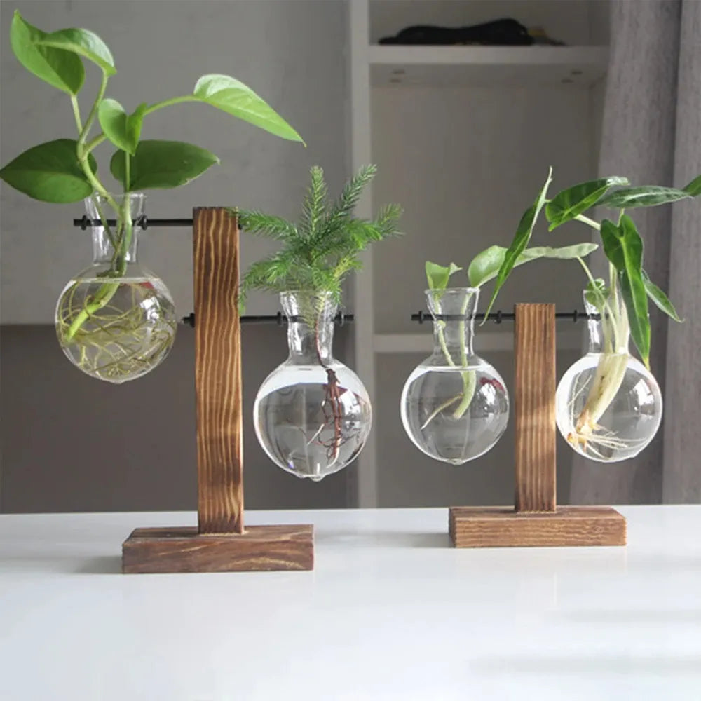 Terrario-de-Plantas-Vintage-com-Suporte-de-Madeira-para-Decoracao-Interna-Loja-do-Jardinista