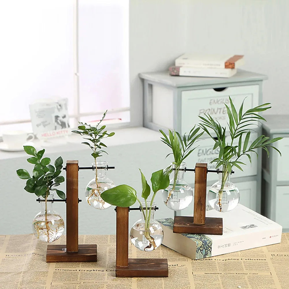 Terrario-de-Plantas-Vintage-com-Suporte-de-Madeira-para-Decoracao-Interna-Loja-do-Jardinista