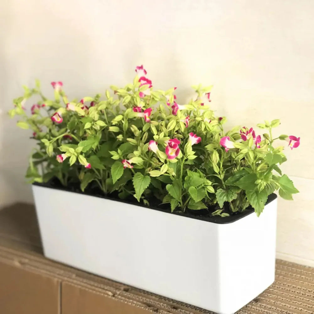 Vaso-Autoirrigavel-Minimalista-com-Indicador-de-Agua-Ideal-para-Hortas-e-Flores-Loja-do-Jardinista