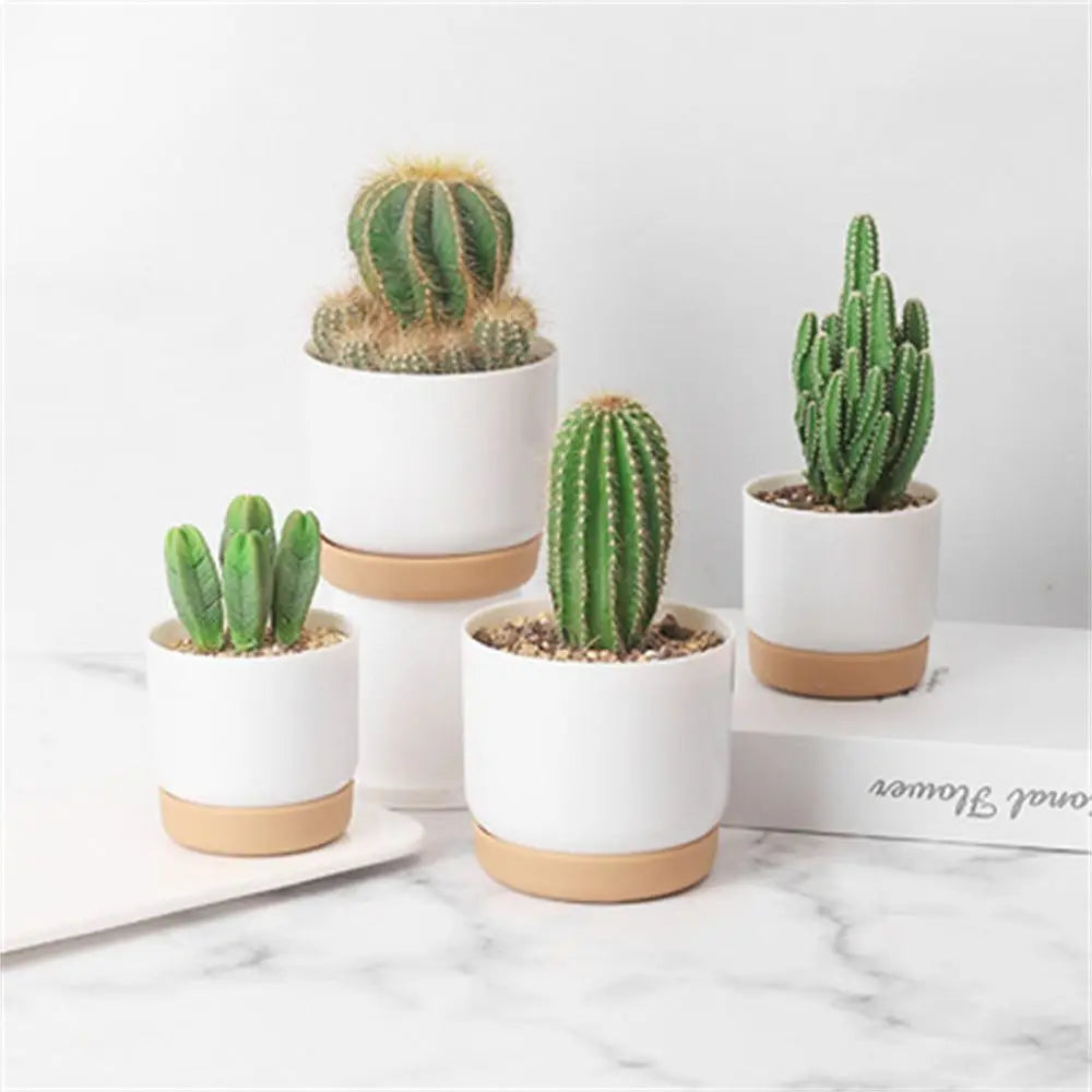 Vaso-Autoirrigável-Duplo-Automático-Jardinista