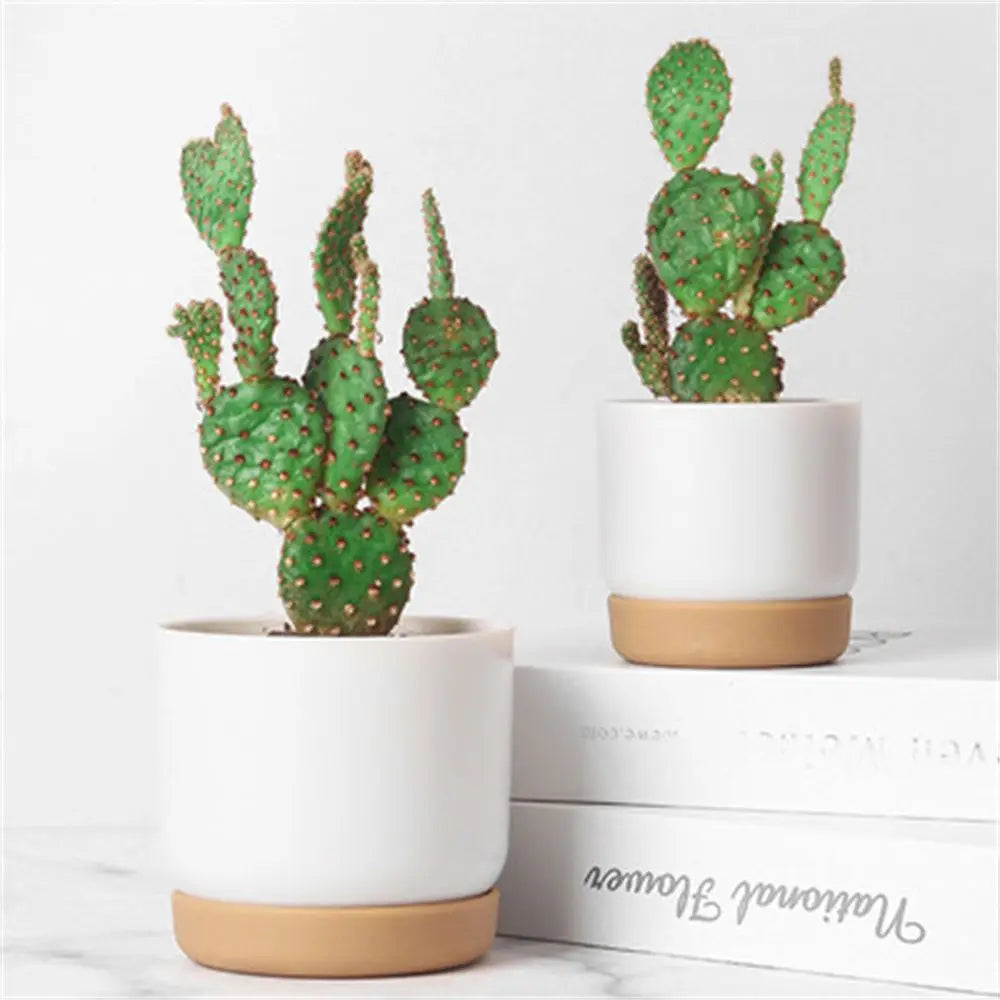 Vaso-Autoirrigável-Duplo-Automático-Jardinista