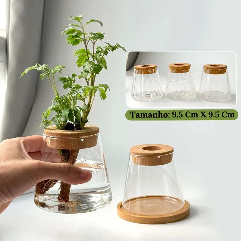 Vaso-de-Vidro-Vulcanico-com-Tampa-de-Madeira-Decoracao-Criativa-e-Natural-para-Plantas-Hidroponicas-Loja-do-Jardinista