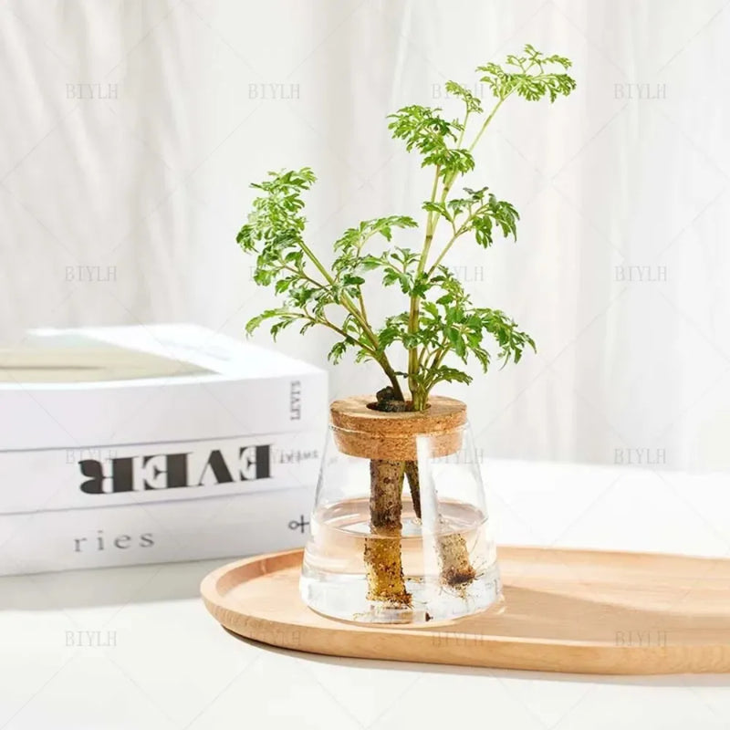 Vaso-de-Vidro-Vulcanico-com-Tampa-de-Madeira-Decoracao-Criativa-e-Natural-para-Plantas-Hidroponicas-Loja-do-Jardinista