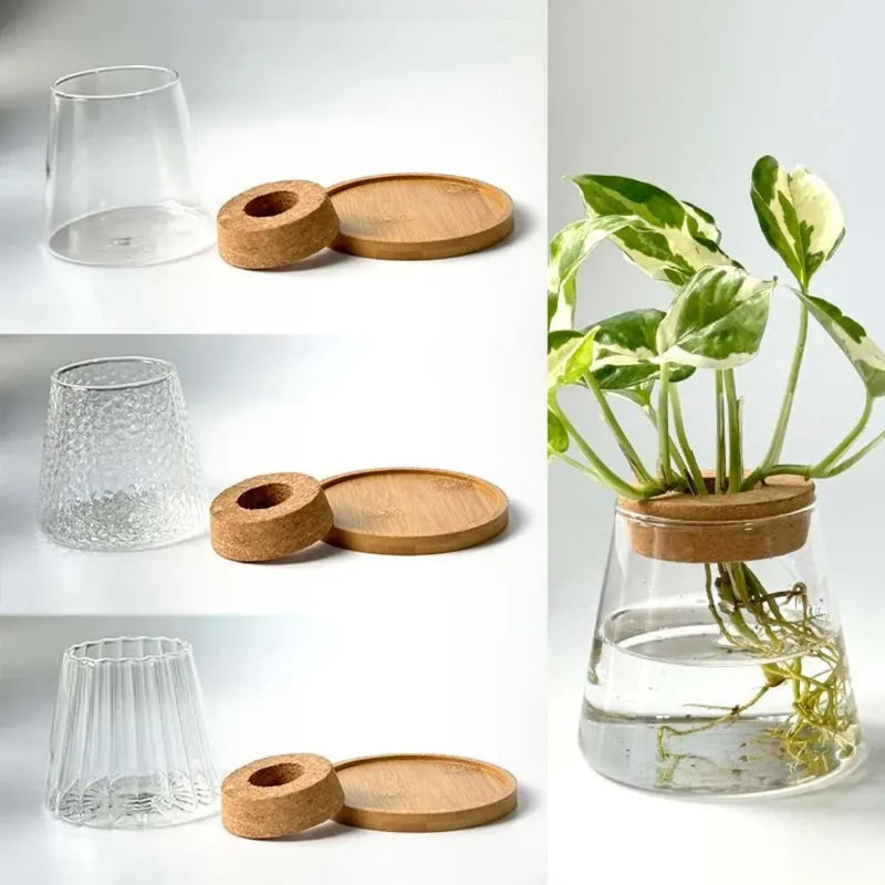 Vaso-de-Vidro-Vulcanico-com-Tampa-de-Madeira-Decoracao-Criativa-e-Natural-para-Plantas-Hidroponicas-Loja-do-Jardinista